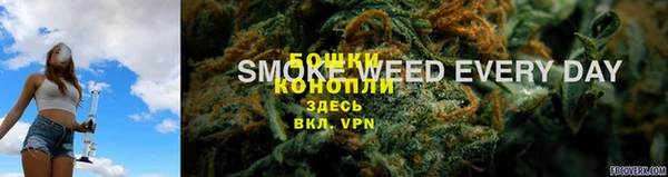 ешки Богданович