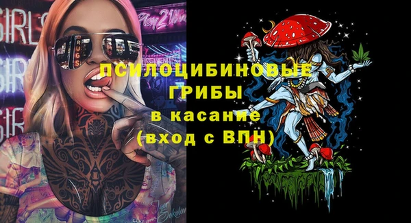 гашишное масло Богородицк