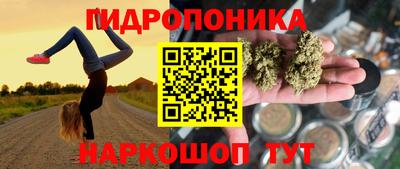 хмурый Холмск