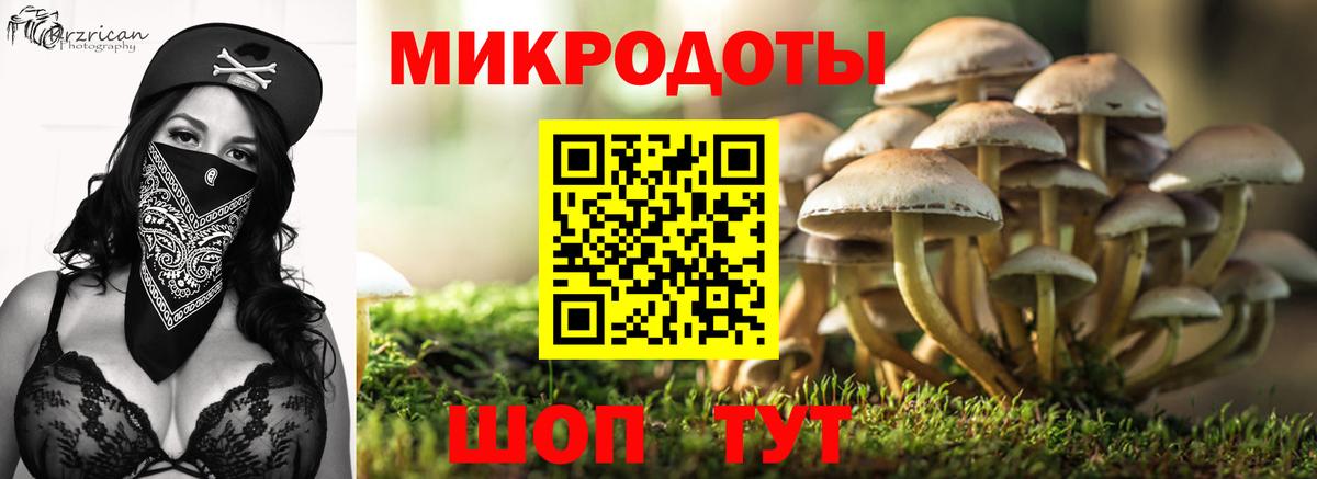 Псилоцибиновые грибы MAGIC MUSHROOMS  сколько стоит  Благодарный 